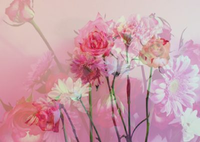 Floral – Stop Motion Animations